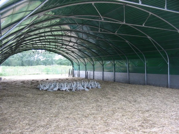 Abri à canards